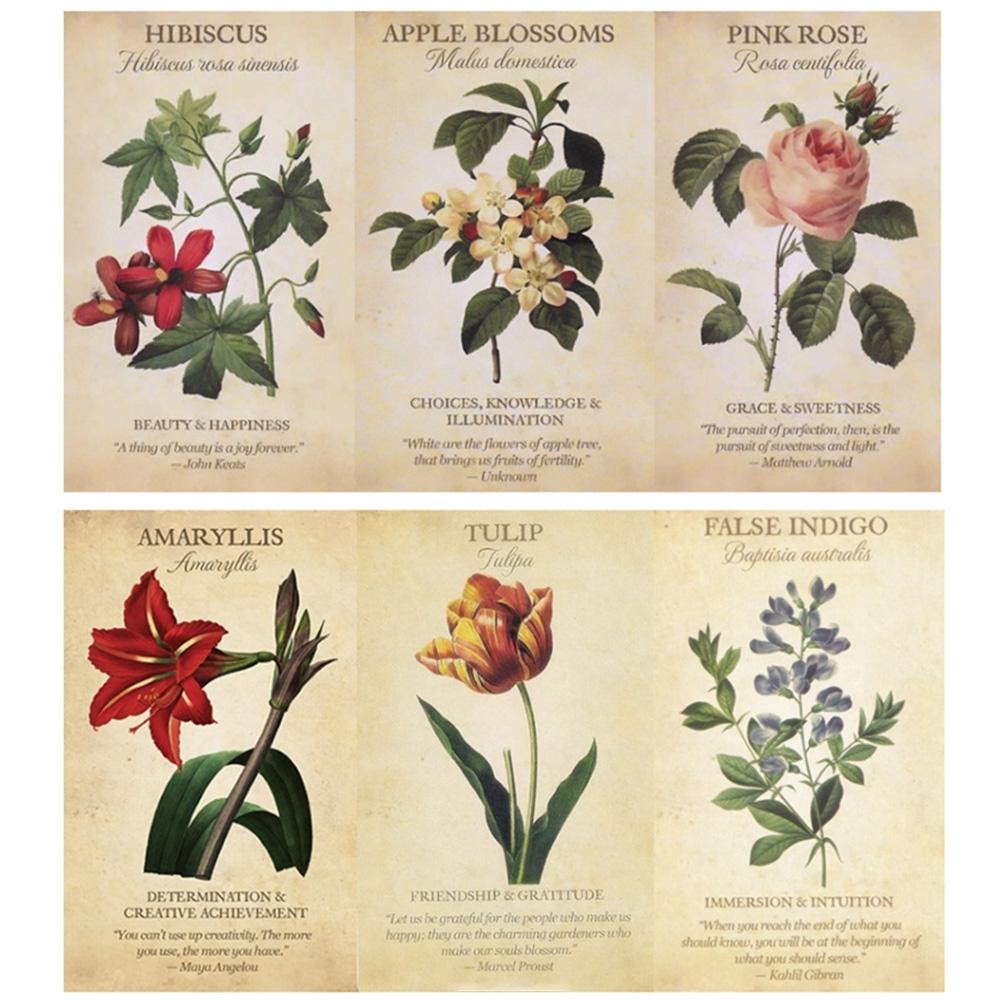 Botanical Inspiration Oracle c - Board Game Inspiration review and price
