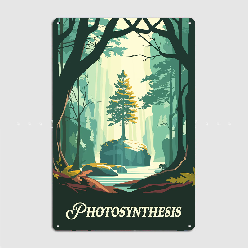 Photosynthesis Board Game Insp - Board Game Inspiration review and price